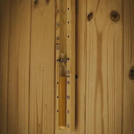 The With A Sauna *